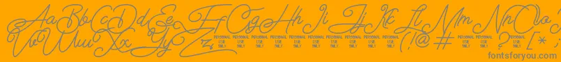 Airlangga Personal Use Only Font – Gray Fonts on Orange Background