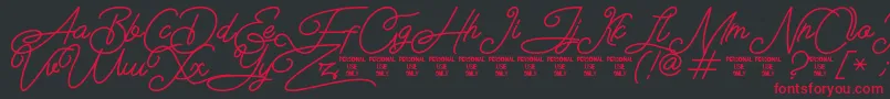 フォントAirlangga Personal Use Only – 黒い背景に赤い文字