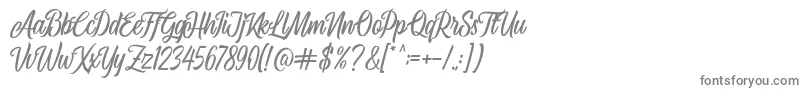 Airplane Script-fontti – harmaat kirjasimet valkoisella taustalla