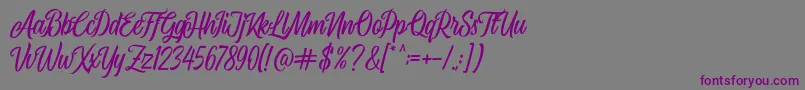 Airplane Script-fontti – violetit fontit harmaalla taustalla