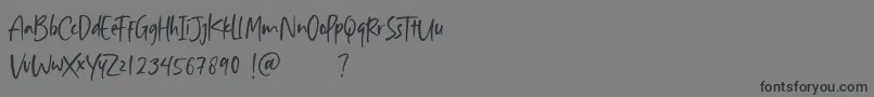Шрифт Aisha Blush – чёрные шрифты на сером фоне