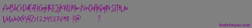 フォントAisha Blush – 紫色のフォント、灰色の背景