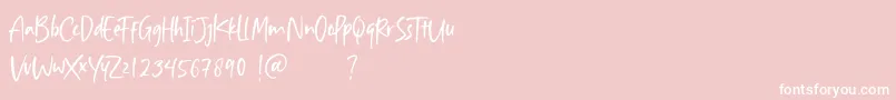Aisha Blush Font – White Fonts on Pink Background