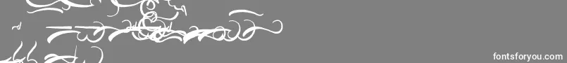 AisyKhadijah Swashed Font – White Fonts on Gray Background