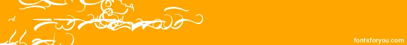 Шрифт AisyKhadijah Swashed – белые шрифты на оранжевом фоне