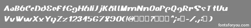 Akasic Medium Italic Font – White Fonts on Gray Background
