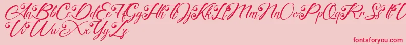 akayla Personal use Only Font – Red Fonts on Pink Background