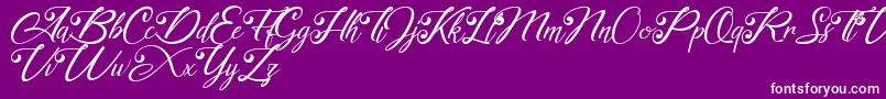 akayla Personal use Only Font – White Fonts on Purple Background