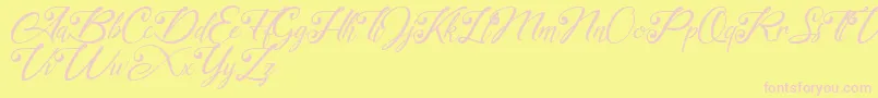 akayla Personal use Only Font – Pink Fonts on Yellow Background