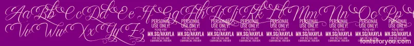 fuente AkaylaScriptDeco PERSONAL – Fuentes Rosadas Sobre Fondo Morado