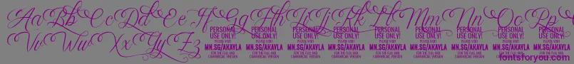 AkaylaScriptDeco PERSONAL Font – Purple Fonts on Gray Background