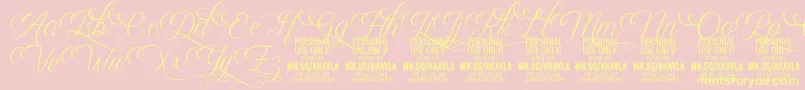 AkaylaScriptDeco PERSONAL Font – Yellow Fonts on Pink Background