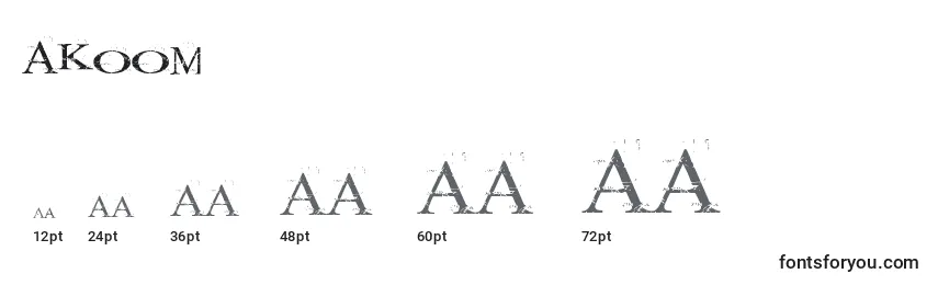 Размеры шрифта AKOOM    (118948)