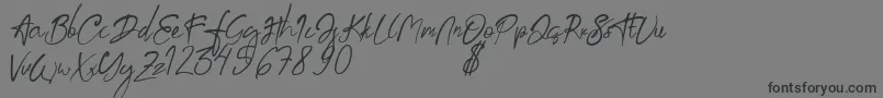 aksoro Demo Font – Black Fonts on Gray Background
