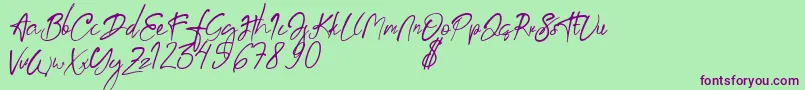 aksoro Demo Font – Purple Fonts on Green Background