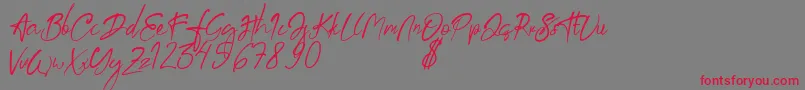 aksoro Demo Font – Red Fonts on Gray Background