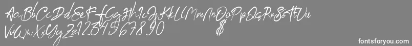 aksoro Demo Font – White Fonts on Gray Background
