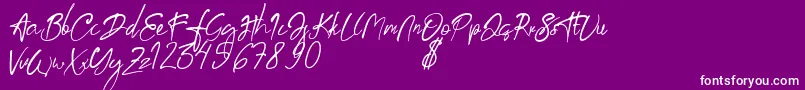 aksoro Demo Font – White Fonts on Purple Background
