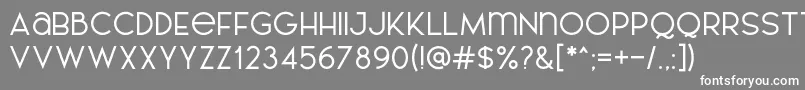 AL LePORSCHE PersonalUseOnly Font – White Fonts on Gray Background