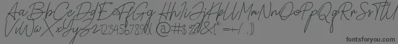 Alamanda Santika Signature Font – Black Fonts on Gray Background