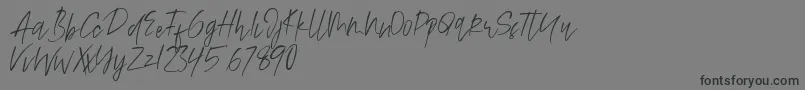 Alamode Font – Black Fonts on Gray Background