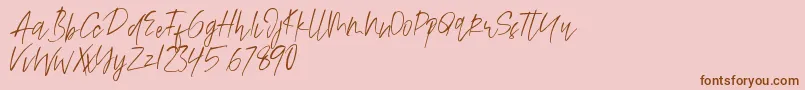 Alamode Font – Brown Fonts on Pink Background