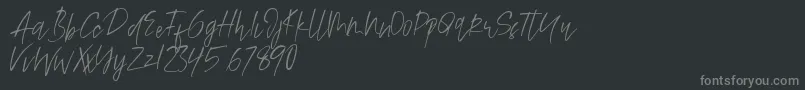 Alamode-Schriftart – Graue Schriften auf schwarzem Hintergrund