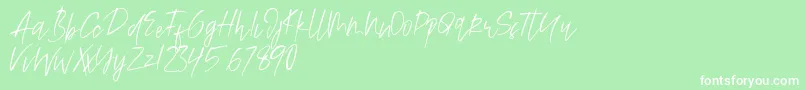 Alamode Font – White Fonts on Green Background