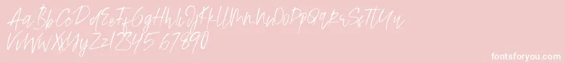 Alamode Font – White Fonts on Pink Background