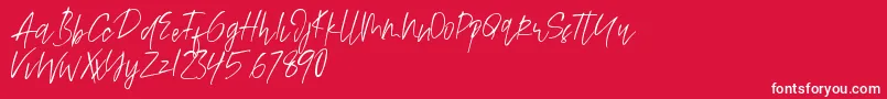 Alamode Font – White Fonts on Red Background