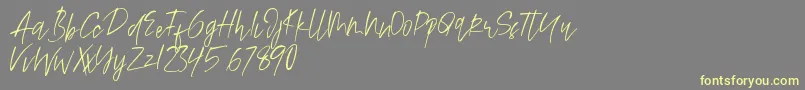 Alamode Font – Yellow Fonts on Gray Background