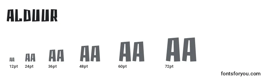 Размеры шрифта Alduur