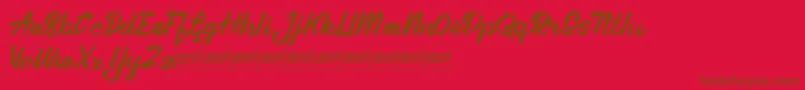 Aleenademo Font – Brown Fonts on Red Background