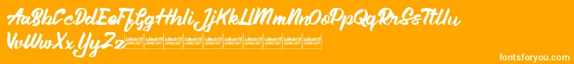 Aleenademo Font – White Fonts on Orange Background