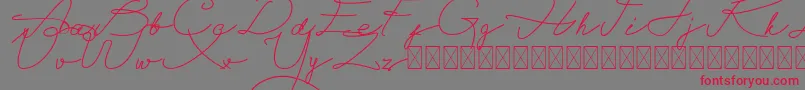 Czcionka Alegant Script Free – czerwone czcionki na szarym tle