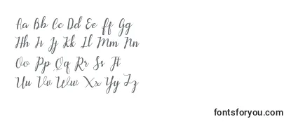 Aleria Script Font