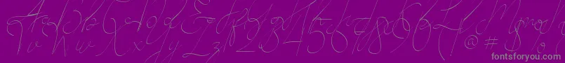 Alesana Font – Gray Fonts on Purple Background