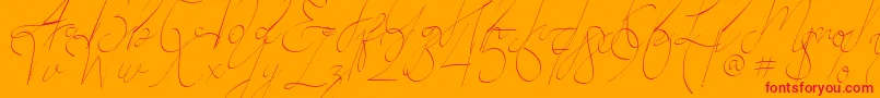 Alesana Font – Red Fonts on Orange Background