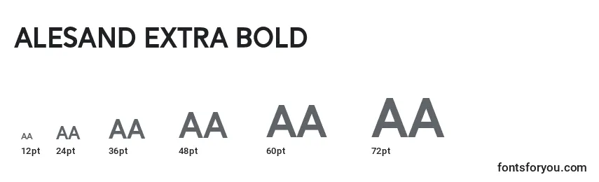 Размеры шрифта Alesand Extra Bold