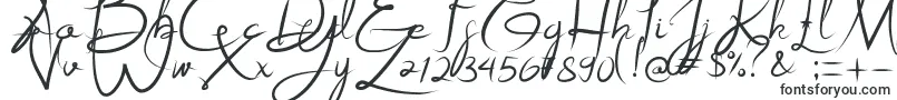 Czcionka Alestraza – czcionki kaligraficzne