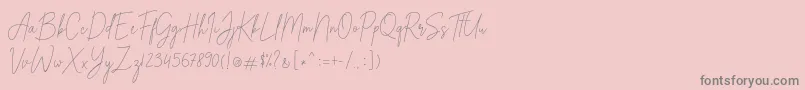 Alexander Lettering Font – Gray Fonts on Pink Background