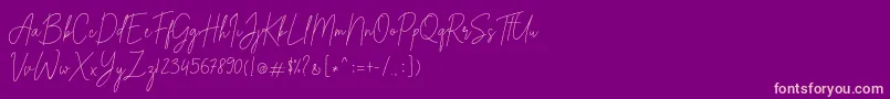 Alexander Lettering Font – Pink Fonts on Purple Background