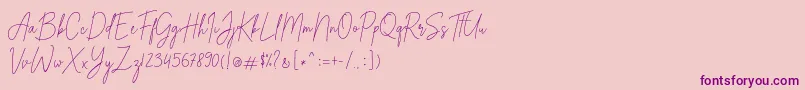 Alexander Lettering Font – Purple Fonts on Pink Background