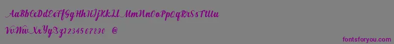 Alexander Regular  Demo Font – Purple Fonts on Gray Background