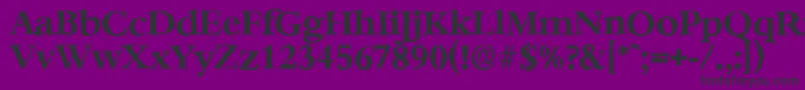 BernsteinantiqueBold Font – Black Fonts on Purple Background