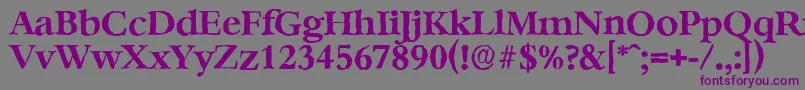 BernsteinantiqueBold Font – Purple Fonts on Gray Background