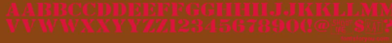 BundyYellowSolid Font – Red Fonts on Brown Background