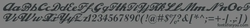 alfaowner com script Font – Black Fonts on Gray Background