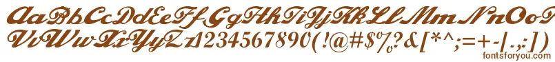 Czcionka alfaowner com script – brązowe czcionki na białym tle