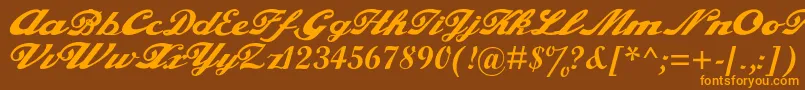 alfaowner com script Font – Orange Fonts on Brown Background